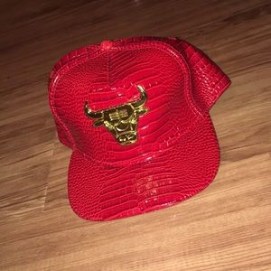 Chicago Bulls Cap